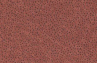 Boxspring krevet NIRVANA PLUS sa spremnikom - 160x200 cm