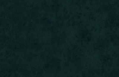 Stolica ZARA pauk noge - 46x50x86 cm